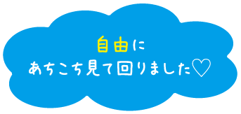 自由にあちこち見て回りました