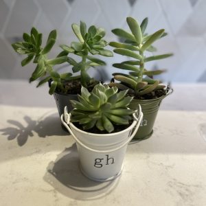 【住友林業　マリナ通り第２限定】WEBご来場予約キャンペーン！！