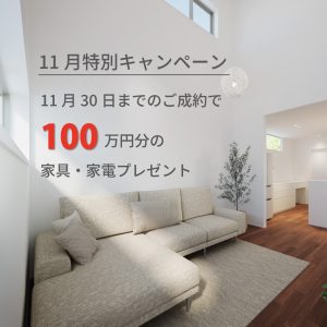 11月限定キャンペーン
